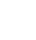 Gsg
