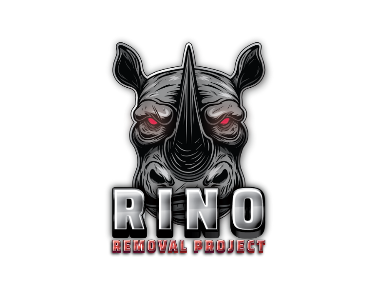 RINO Meaning Blog