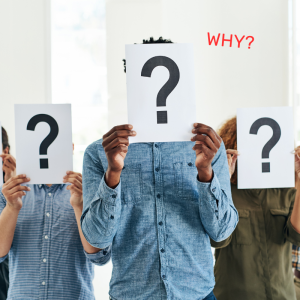 RINO Meaning Blog - Why